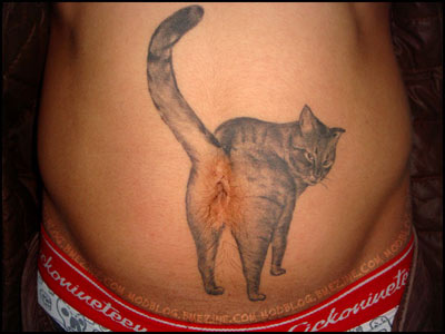 cat haters and cat lovers can agree best tattoo ever 