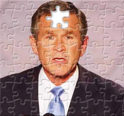 puzzle_bush